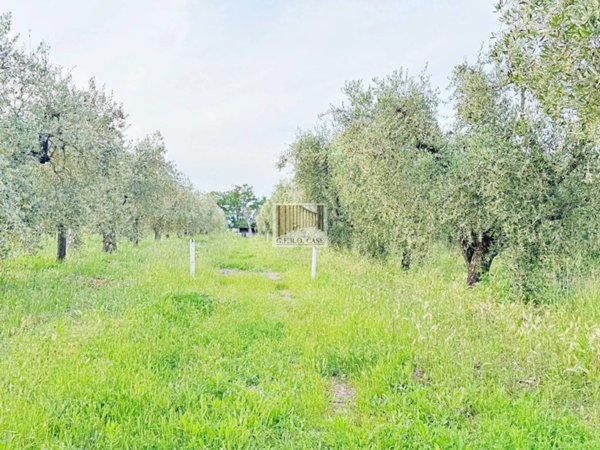 casa indipendente in vendita a Viterbo