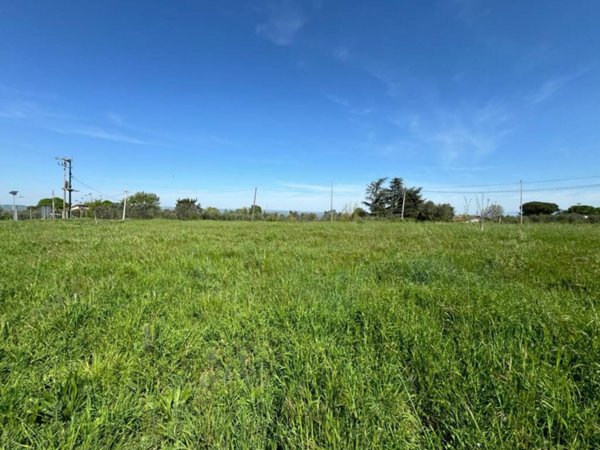 terreno agricolo in vendita a Viterbo in zona San Martino al Cimino
