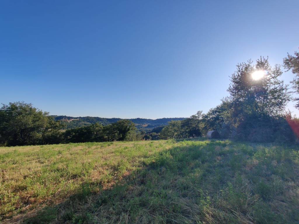 terreno agricolo in vendita a Viterbo in zona Grotte Santo Stefano