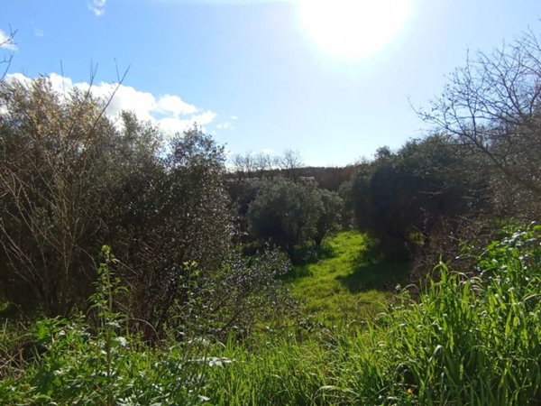 terreno agricolo in vendita a Viterbo in zona Grotte Santo Stefano