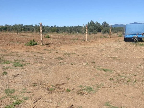 terreno agricolo in vendita a Viterbo in zona Castel d'Asso
