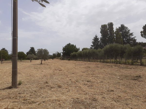 locale di sgombero in vendita a Viterbo in zona Bagnaia