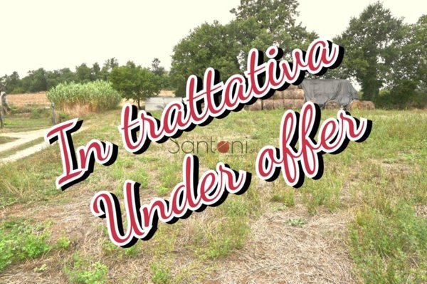 terreno agricolo in vendita a Viterbo in zona Grotte Santo Stefano