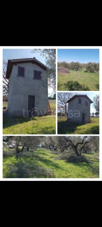 appartamento in vendita a Viterbo in zona San Martino al Cimino