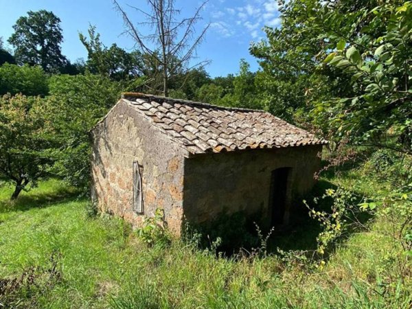 terreno agricolo in vendita a Viterbo in zona Grotte Santo Stefano