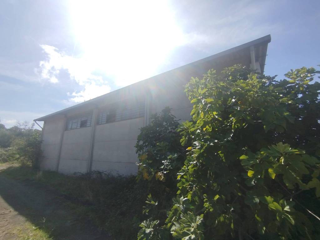 terreno agricolo in vendita a Viterbo in zona Bagnaia