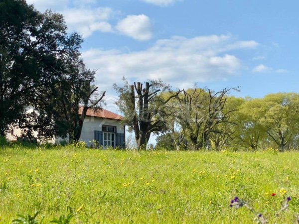 casa indipendente in vendita a Viterbo in zona Fastello