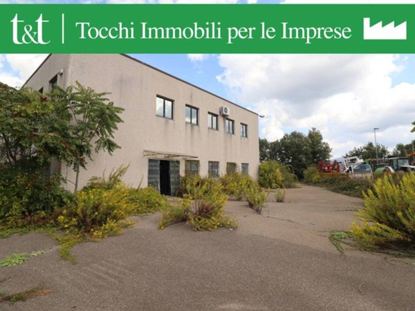 capannone in vendita a Viterbo in zona Grotte Santo Stefano
