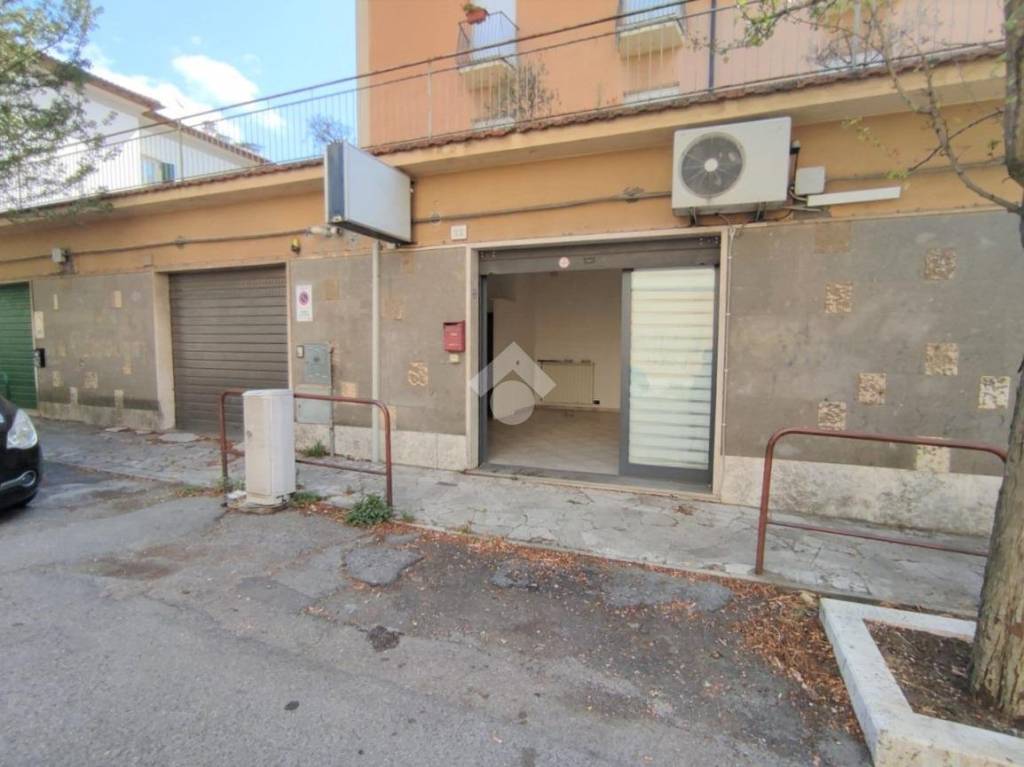 negozio in vendita a Viterbo