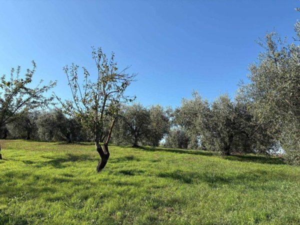 terreno agricolo in vendita a Viterbo in zona Grotte Santo Stefano