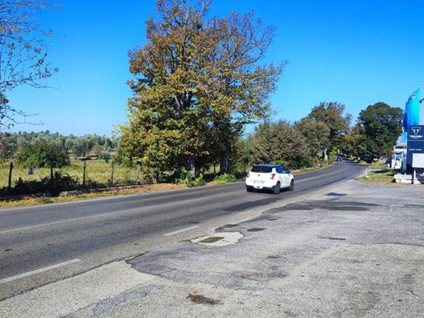 terreno agricolo in vendita a Viterbo in zona Grotte Santo Stefano