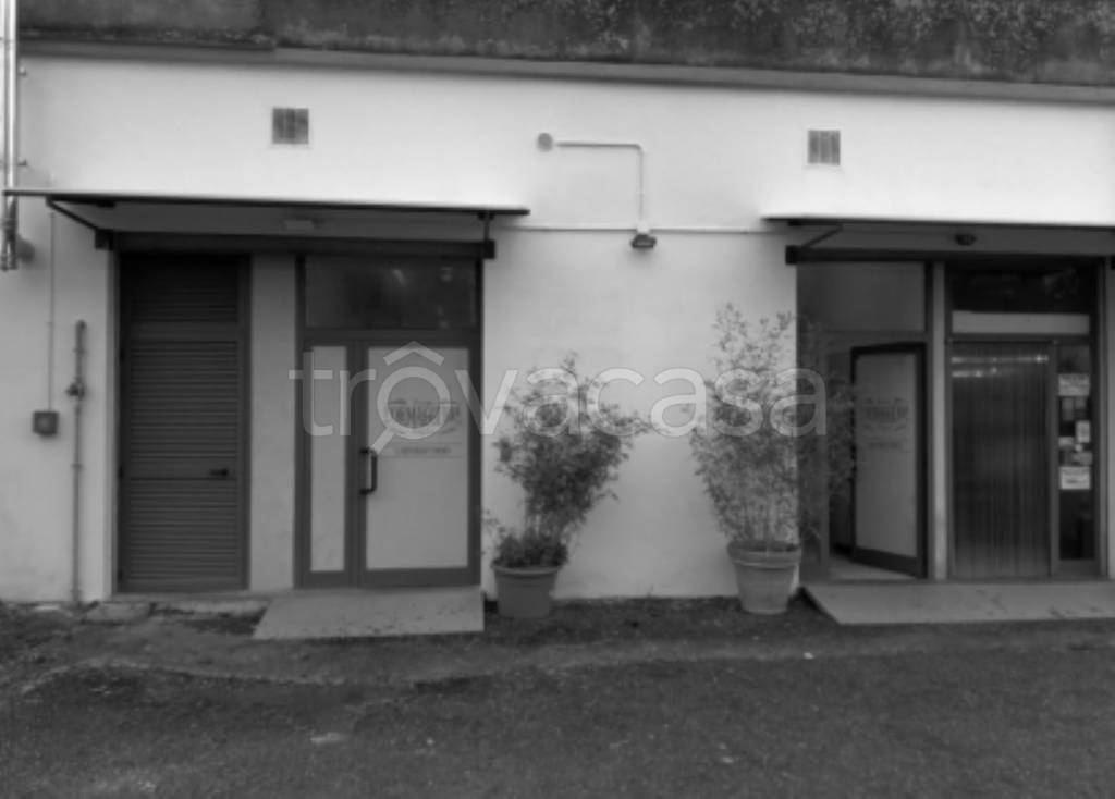 negozio in vendita a Viterbo