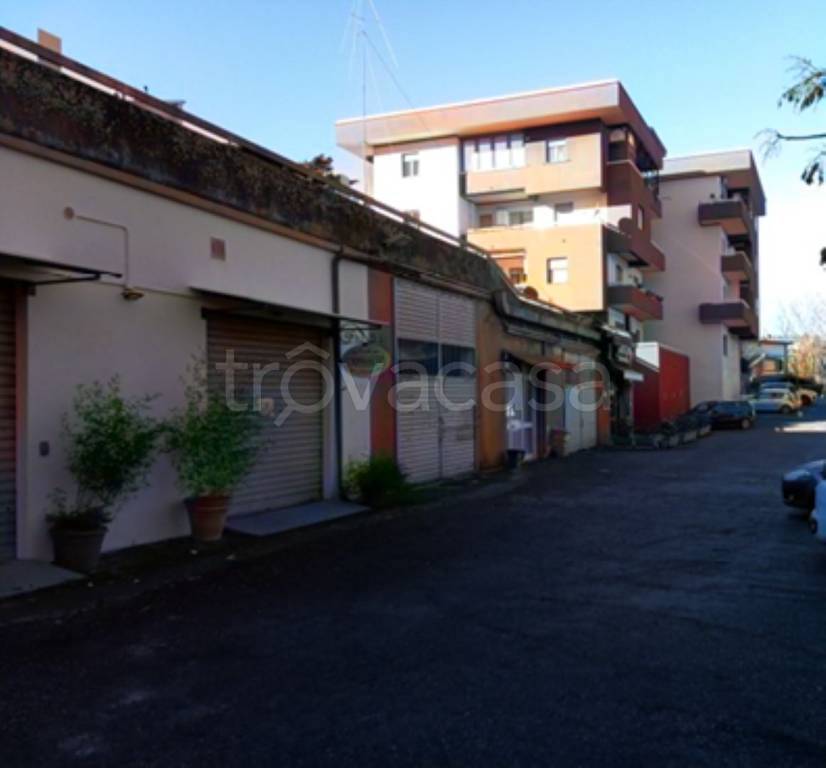 negozio in vendita a Viterbo