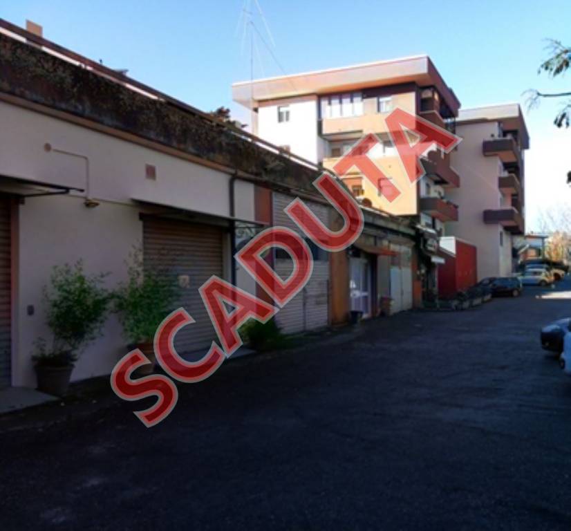 negozio in vendita a Viterbo