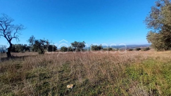 terreno agricolo in vendita a Viterbo in zona Monterazzano