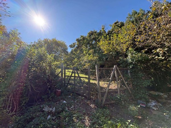 terreno agricolo in vendita a Viterbo in zona San Martino al Cimino