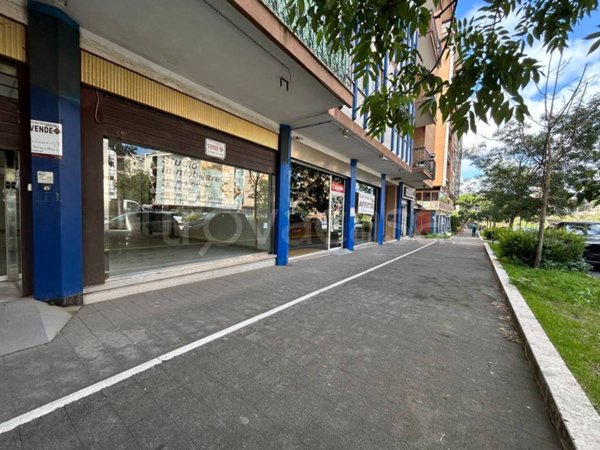 negozio in vendita a Viterbo