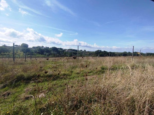 terreno agricolo in vendita a Viterbo in zona Bagnaia