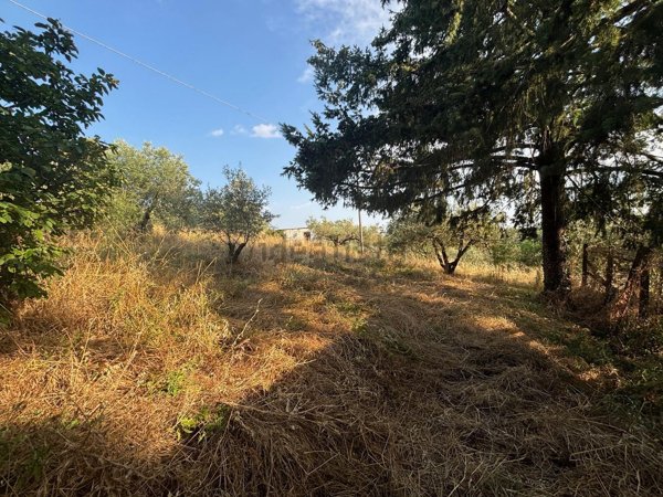 terreno agricolo in vendita a Viterbo in zona Centro Città