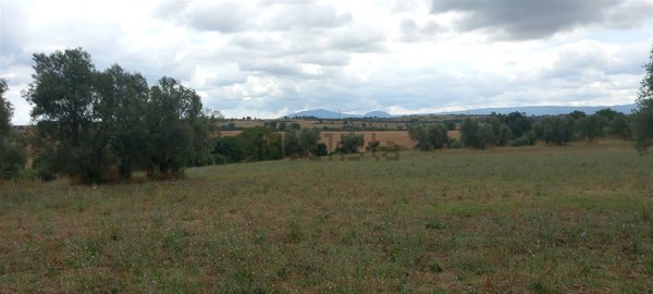 casa indipendente in vendita a Viterbo