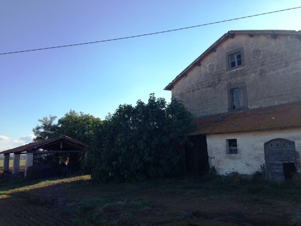 casale in vendita a Viterbo in zona Castel d'Asso