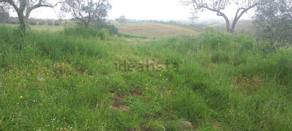casa indipendente in vendita a Viterbo
