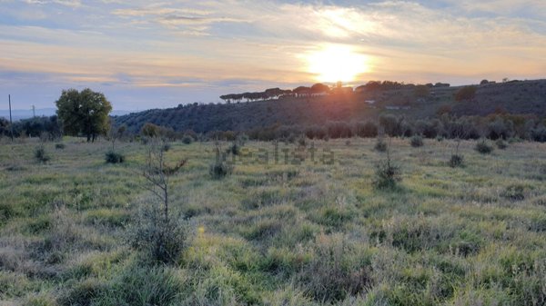 terreno agricolo in vendita a Viterbo in zona Monterazzano