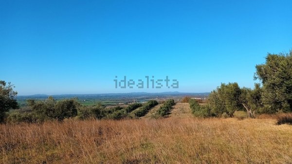 terreno agricolo in vendita a Viterbo in zona Monterazzano