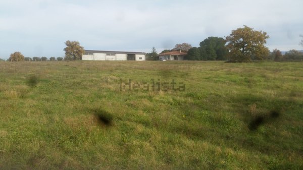 casa indipendente in vendita a Viterbo