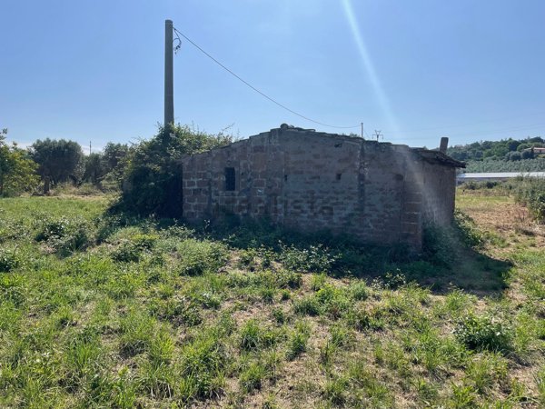 terreno agricolo in vendita a Viterbo