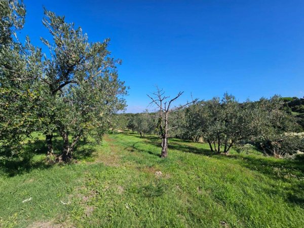 locale di sgombero in vendita a Viterbo