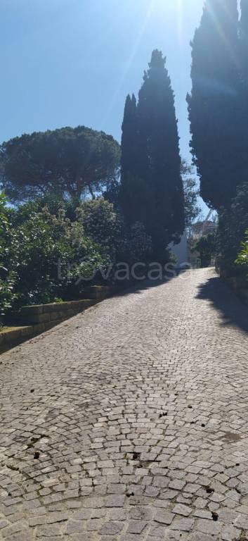 immagine annuncio 0 di 11