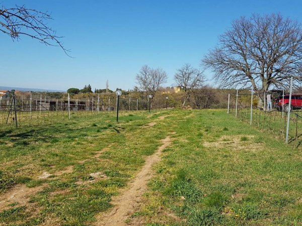 terreno agricolo in vendita a Viterbo in zona San Martino al Cimino