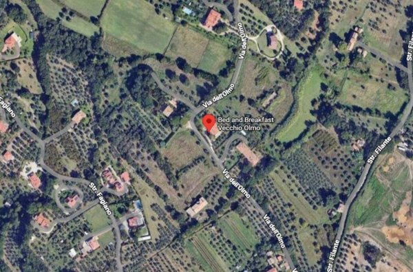 terreno agricolo in vendita a Viterbo in zona San Martino al Cimino