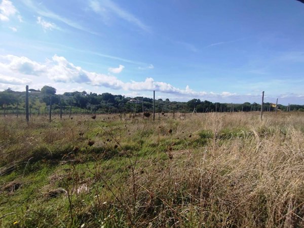 terreno in vendita a Viterbo in zona Carcarelle