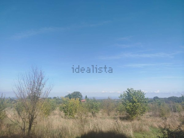 terreno agricolo in vendita a Viterbo