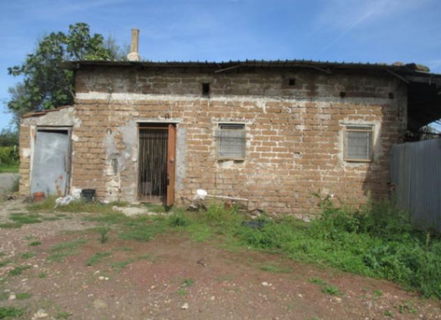 pentavano in vendita a Viterbo