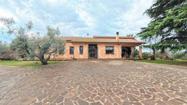 immagine annuncio 0 di 15