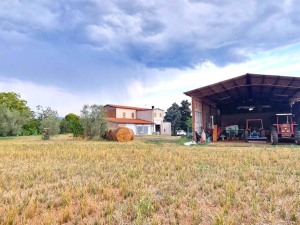 casa indipendente in vendita a Viterbo in zona Castel d'Asso