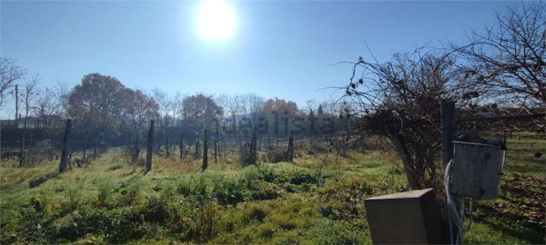 terreno agricolo in vendita a Viterbo