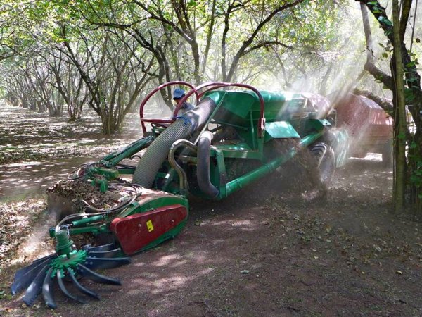 locale di sgombero in vendita a Viterbo