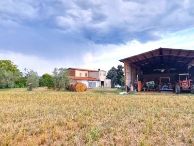 casa indipendente in vendita a Viterbo in zona Castel d'Asso