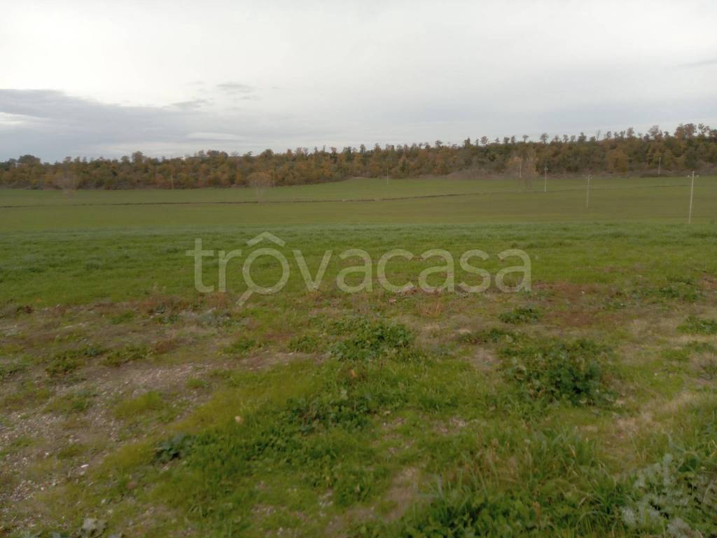 terreno agricolo in vendita a Viterbo