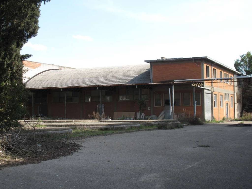 locale di sgombero in vendita a Viterbo