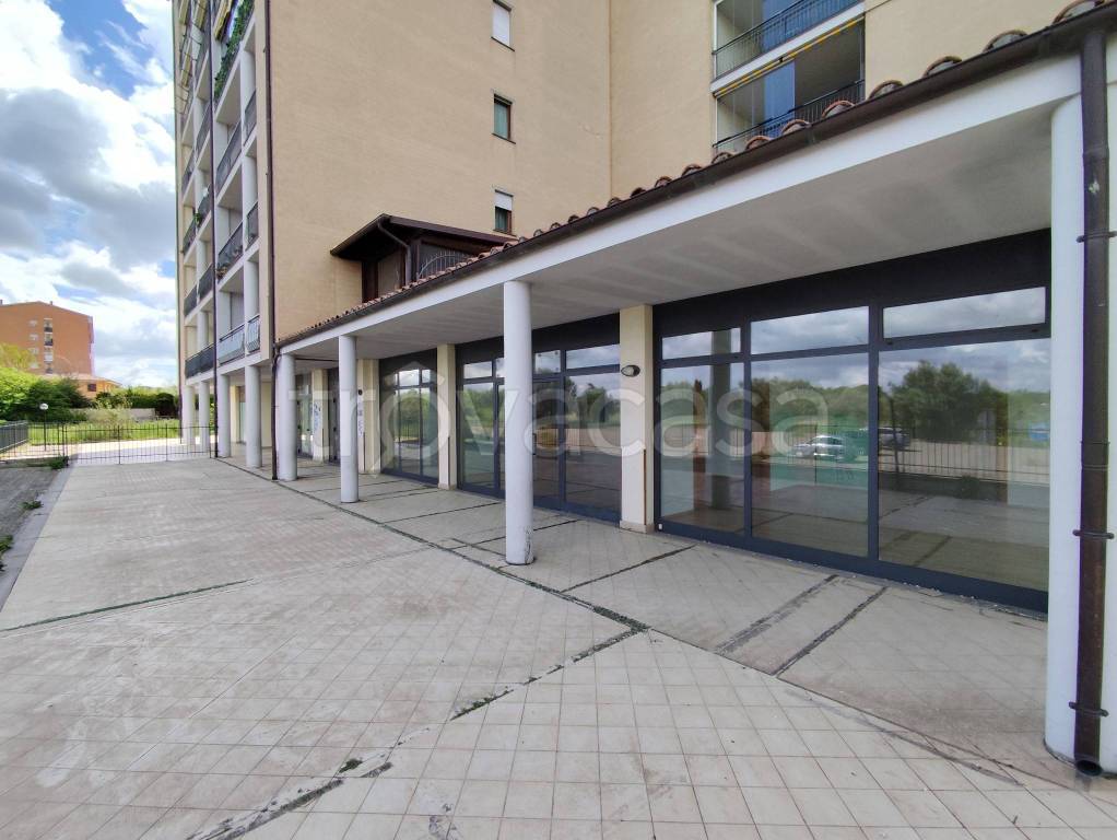 negozio in vendita a Viterbo