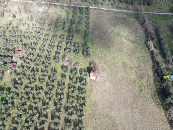 terreno agricolo in vendita a Viterbo in zona Bagnaia