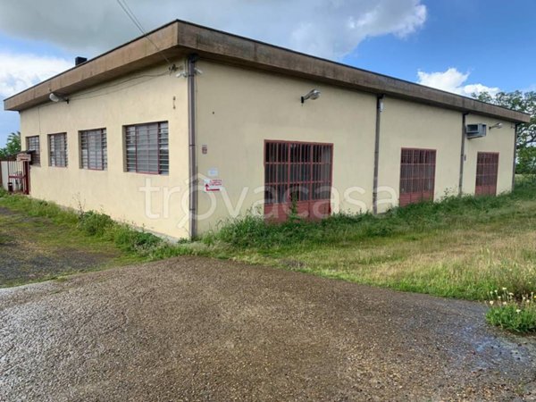 appartamento in vendita a Viterbo in zona Monterazzano