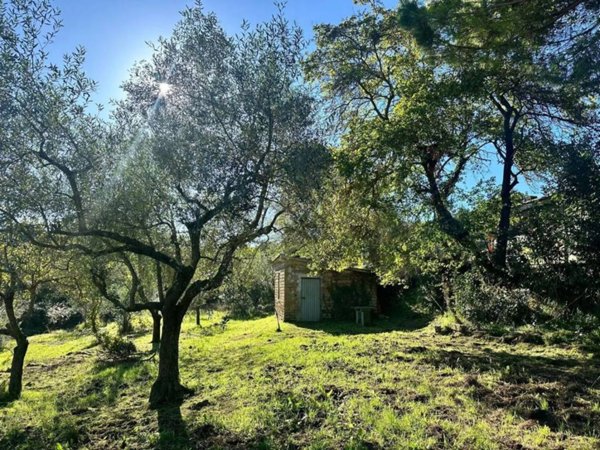 casa indipendente in vendita a Viterbo in zona San Martino al Cimino