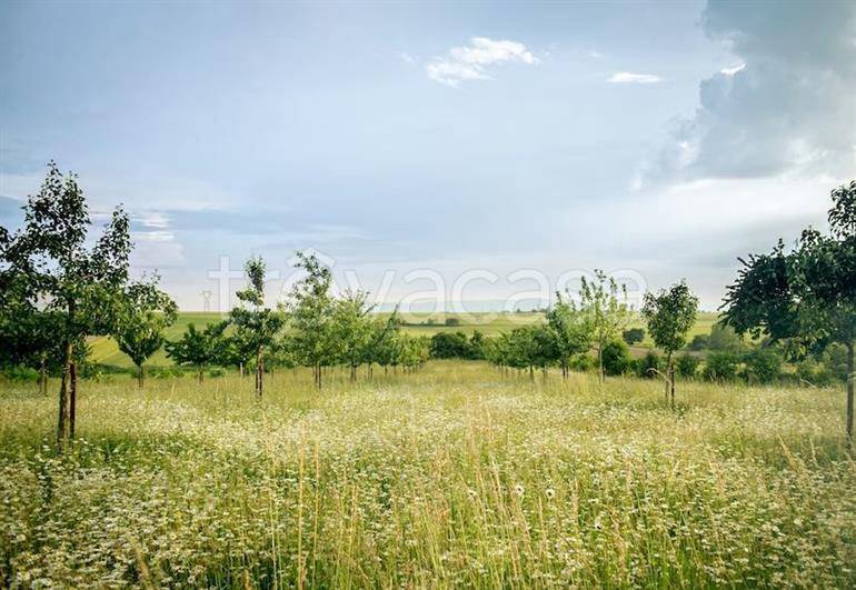 terreno edificabile in vendita a Viterbo in zona Bagnaia