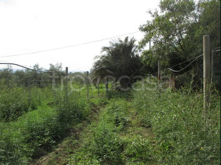 appartamento in vendita a Viterbo in zona Monterazzano